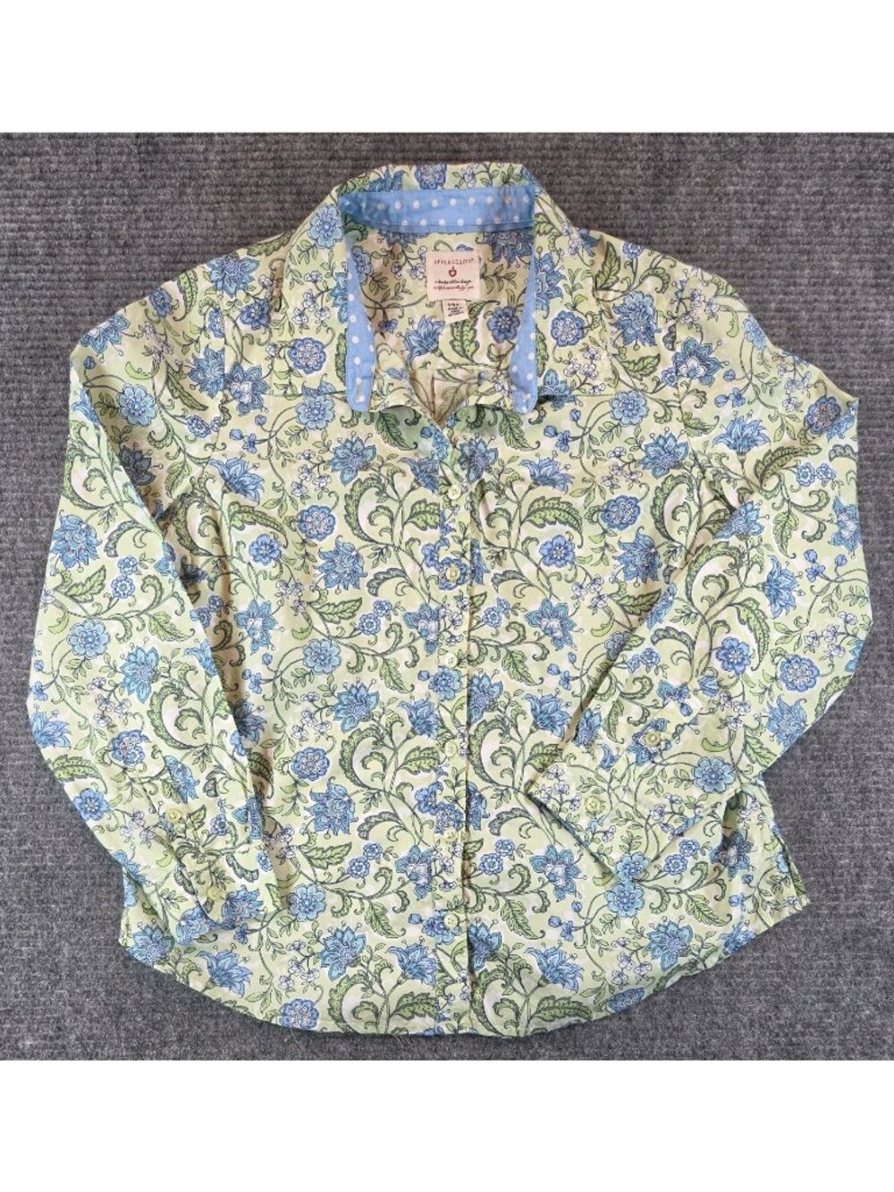 Appleseed’s Floral Button Down Shirt Womens 14Pet Green Blue Paisley Blouse Top